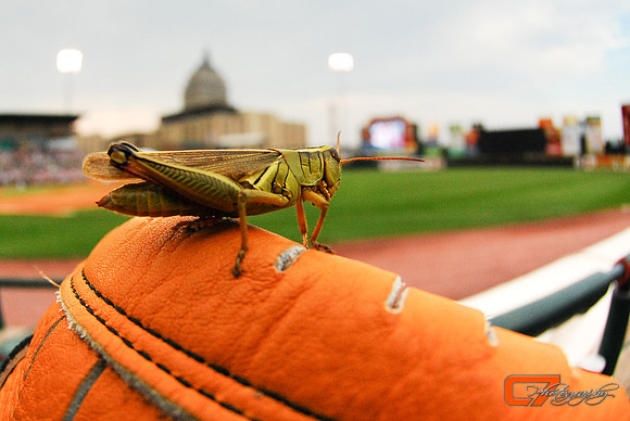 Hitching a Ride